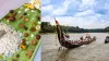 പള്ളിയോടങ്ങളെ വരവേൽക്കാൻ ആറന്മുള; വള്ളസദ്യക്ക് ഇന്ന് മുതൽ തുടക്കം...