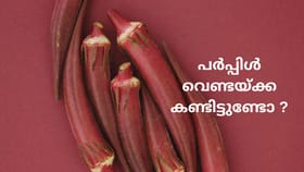 പച്ചയല്ല, പർപ്പിൾ വെണ്ടക്ക കണ്ടിട്ടുണ്ടോ ? ആരോഗ്യ ഗുണങ്ങള...