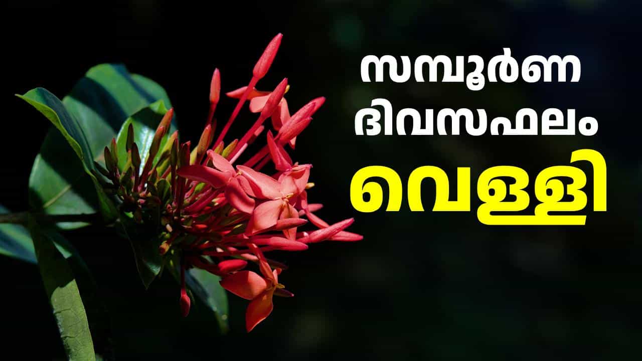 Horoscope July 17: മിഥുനക്കൂറിന് നല്ല ദിവസം, കർക്കടകക്കാർ പ്രത്യേകം ശ്രദ്ധിക്കണം; ഇന്നത്തെ പൂർണ നക്ഷത്രഫലം Horoscope July 17: മിഥുനക്കൂറിന് നല്ല ദിവസം, കർക്കടകക്കാർ പ്രത്യേകം ശ്രദ്ധിക്കണം; ഇന്നത്തെ പൂർണ നക്ഷത്രഫലം