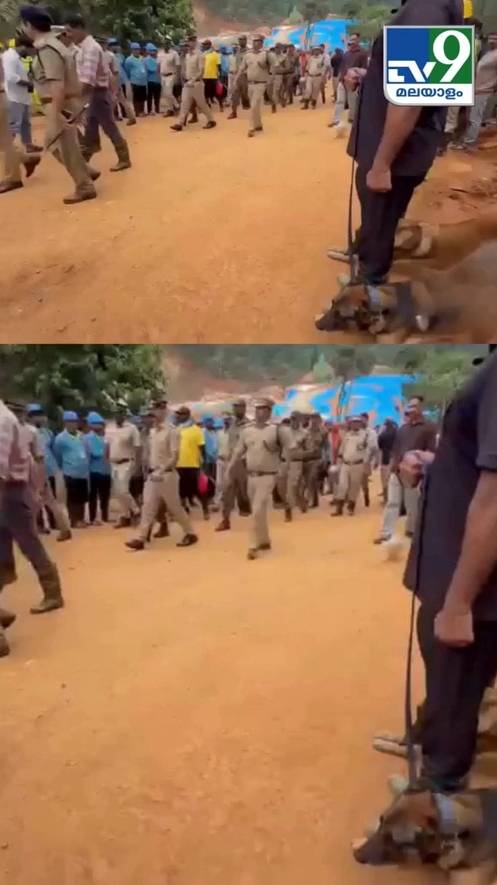 DGP കടന്നുപോകുമ്പോൾ പൂച്ച ഓടി, അതും പോലീസ് നായയുടെ മുന്നിലുടെ