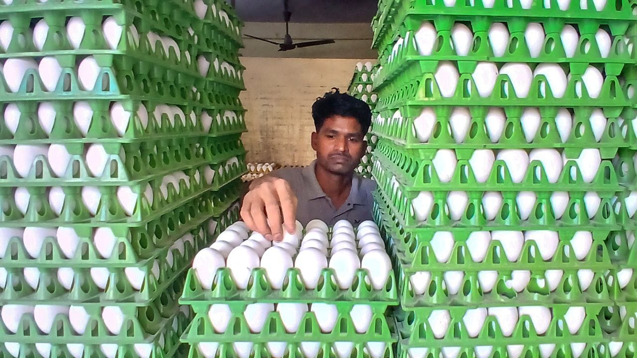 കഴിഞ്ഞയാഴ്ചയോടെ മുട്ടവില 8 രൂപ വിട്ടുയര്‍ന്നു. ശനിയാഴ്ച ഒരു മുട്ടയ്ക്ക് 8.5 രൂപയും അതിന് മുകളിലുമാണ് വില രേഖപ്പെടുത്തിയത്. മൊത്തവ്യാപാര കടകളില്‍ 7.1 രൂപ മുതല്‍ 7.5 രൂപ വരെ വിലയുണ്ട്. വിലക്കയറ്റം സംഭവിക്കുന്നുണ്ടെങ്കിലും മുട്ട വാങ്ങുന്നവരുടെ എണ്ണത്തില്‍ കുറവ് സംഭവിച്ചിട്ടില്ല. പ്രോട്ടീന്‍ അടങ്ങിയ ഭക്ഷണം കഴിക്കാതെ എങ്ങനെയാണ് മുന്നോട്ട് പോകുന്നതെന്നാണ് യുവാക്കള്‍ ചോദിക്കുന്നത്. 

