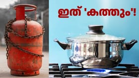 എൽപിജിക്ക് പകരം എഥനോൾ അ‌ധിഷ്ഠിത പാചക ഇന്ധനം വരുന്നു
