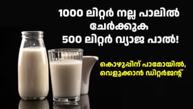 സോപ്പുപൊടിയും പാമോയിലും കലർത്തിയ വ്യാജ പാൽ പിടിച്ചെടുത്തു