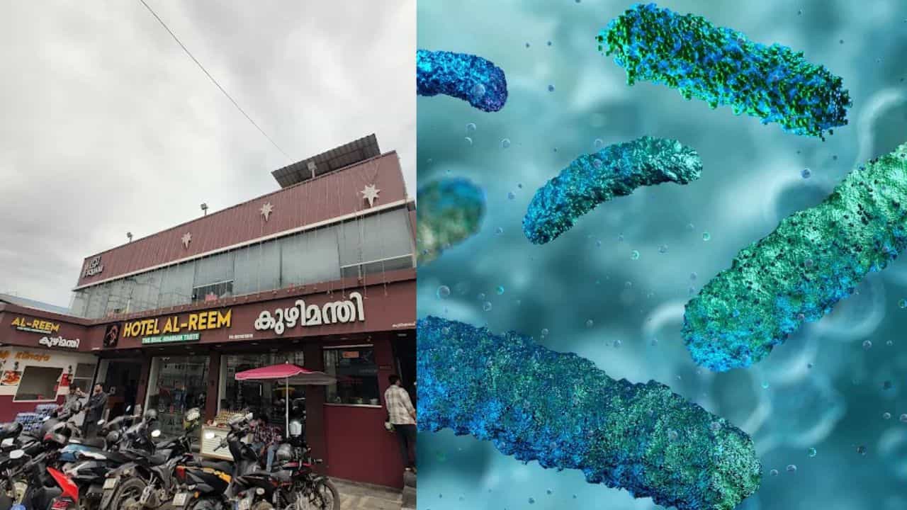 Al Reem Hotel Shigella Case : കൊച്ചി അല്‍ റീമില്‍ നിന്ന് ഭക്ഷണം കഴിച്ച് ചികിത്സയിലായവര്‍ക്ക് ഷിഗെല്ല, ലൈസന്‍സ് റദ്ദാക്കി