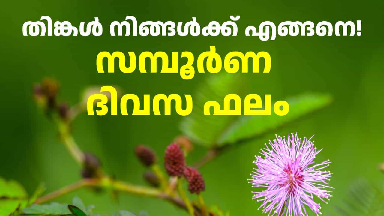 10 മണി കഴിഞ്ഞാൽ അപകടഭീതി, ശരീരക്ഷതം; ഇന്ന് ഈ രാശിക്കാർ പ്രത്യേകം ശ്രദ്ധിക്കുക 10 മണി കഴിഞ്ഞാൽ അപകടഭീതി, ശരീരക്ഷതം; ഇന്ന് ഈ രാശിക്കാർ പ്രത്യേകം ശ്രദ്ധിക്കുക