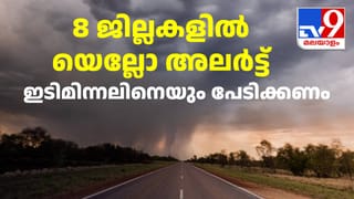 Kerala Weather Update: യെല്ലോ അ‌ലർട്ട് മൂന്നിൽ നിന്ന് 8 ജില്ലകളിലേക്ക് ഉയർന്നു; കൂടെ ഇടിമിന്നൽ മുന്നറിയിപ്പും