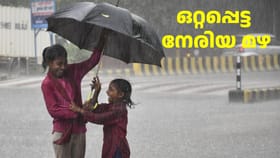 ഒരു ജില്ലയിൽ ഇടത്തരം മഴ, ബാക്കിയിടങ്ങളിൽ ഒറ്റപ്പെട്ട നേരിയ മഴ
