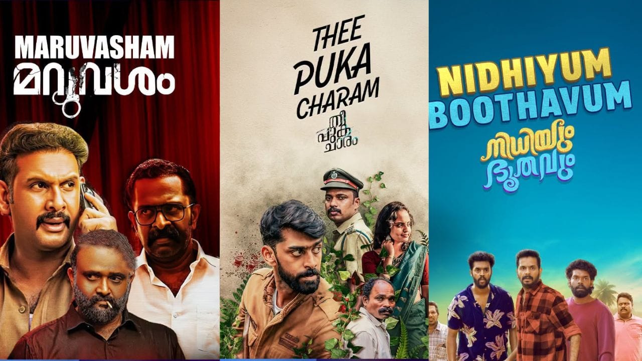 ഇവയ്ക്ക് പുറമെ നിരവധി മലയാളം ചിത്രങ്ങൾ മനോരമ മാക്സിൽ എത്തിട്ടുണ്ട്. തീ പുക ചാരം, മറുവശം, നിധിയും ഭൂതവും, അന്തു ദ മാൻ എന്നിങ്ങിനെയുള്ള ഓഫ് ബീറ്റ് ചിത്രങ്ങളും മാനോരമ മാക്സിൽ എത്തിട്ടുണ്ട്. 