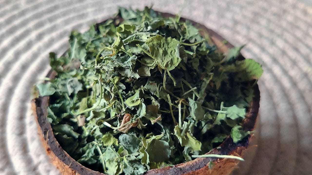വിത്ത് പാകിയ ശേഷം എല്ലാ ദിവസവും  നനക്കാൻ ശ്രദ്ധിക്കണം. എന്നാൽ ഒരുപാട് വെള്ളം ഒഴിക്കാനും പാടില്ല. വിത്തുകൾ ചീഞ്ഞുപോകുന്നതിന് ഇത് കാരണമാകും. വെള്ളം സ്പ്രേ ചെയ്ത് കൊടുക്കുന്നതാണ് ഉചിതം. വിത്ത് പാകി മൂന്ന് ദിവസം ആകുമ്പോഴേക്കും മുള വന്ന് തുടങ്ങും. ചെറിയ രീതിയിൽ വെയിൽ കിട്ടുന്ന ഇടത്താണ് വിത്ത് പാകിയ ചട്ടി വെക്കേണ്ടത്. നേരിട്ട് വെയിൽ ഏൽക്കുന്നില്ല എന്നും ഉറപ്പാക്കണം. 