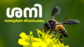 മകരക്കാർ ഇന്ന് ശരീരക്ഷതവും ശത്രുശല്യവും കരുതിയിരിക്കുക