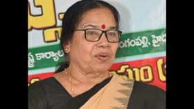 സൈബർ അധിക്ഷേപത്തിൽ മാപ്പില്ല! പി കെ ശ്രീമതി നിയമനടപടിയുമായി...