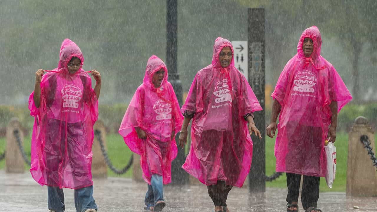 Kerala Weather Update: മഴക്കോൾ മായില്ല! വരും ദിവസവും മഴ ശക്തമാകും; കാലാവസ്ഥ മുന്നറിയിപ്പ് ഇങ്ങനെ Kerala Weather Update: മഴക്കോൾ മായില്ല! വരും ദിവസവും മഴ ശക്തമാകും; കാലാവസ്ഥ മുന്നറിയിപ്പ് ഇങ്ങനെ