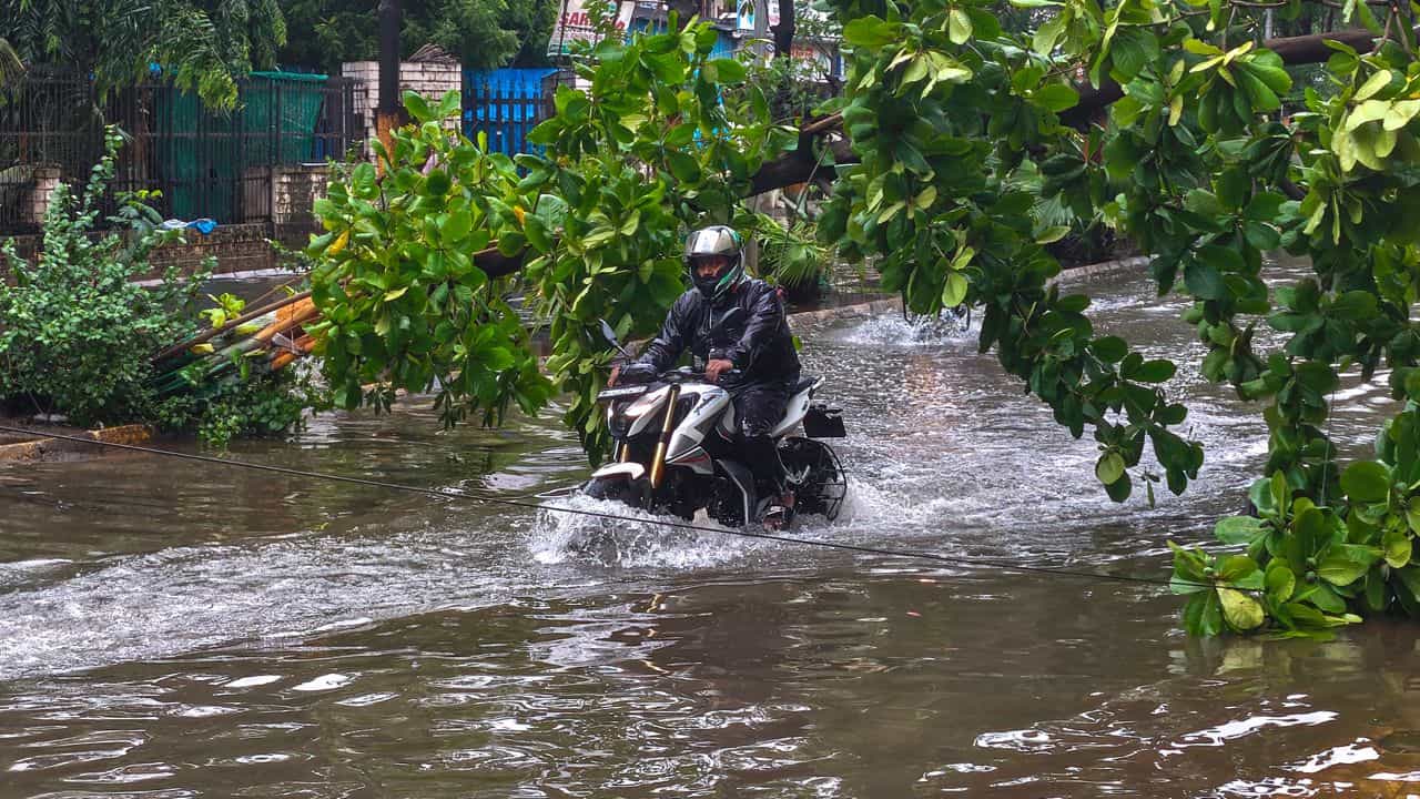 Kerala Weather Update: സംസ്ഥാനത്ത് ഇന്നും ശക്തമായ മഴ; രണ്ട് ജില്ലകളിൽ വിദ്യാഭ്യാസ സ്ഥാപനങ്ങൾക്ക് അവധി Kerala Weather Update: സംസ്ഥാനത്ത് ഇന്നും ശക്തമായ മഴ; രണ്ട് ജില്ലകളിൽ വിദ്യാഭ്യാസ സ്ഥാപനങ്ങൾക്ക് അവധി