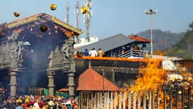 ശബരിമലയിൽ മിൽമയുടെ വ്യാജ നെയ്യ് വിതരണം: അന്വേഷണം ദേവസ്വം...