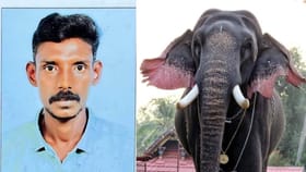ശിവരാജുവിന്റെ മൂന്നാം പാപ്പാൻ യുവാവിന്റെ കുത്തേറ്റ് മരിച്ചു