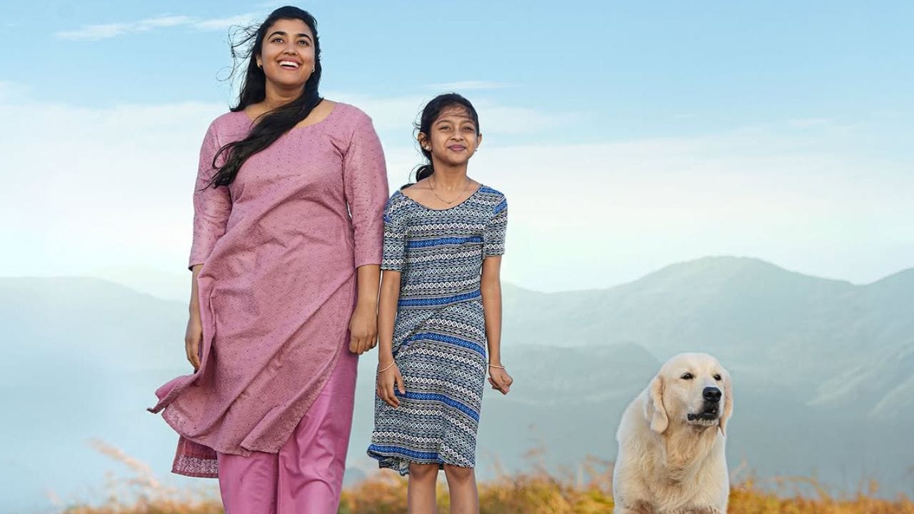 സിനിമയുടെ റിലീസിനായി മോഹൻലാൽ ഫാന്സ് ഉള്പ്പെടെയുള്ള സിനിമാ പ്രേക്ഷകർ വലിയ കാത്തിരിപ്പിലാണ്. തന്റെ ആദ്യ ചിത്രത്തെ കുറിച്ച് വിസ്മയയും എക്സൈറ്റഡ് ആണ്. വഴിയരികിൽ സ്ഥാപിച്ചിട്ടുള്ള തുടക്കത്തിന്റെ വലിയ പോസ്റ്റർ വീഡിയോയിൽ പകർത്തി അവർ ഇന്ന് പങ്കുവച്ചിട്ടുണ്ട്.