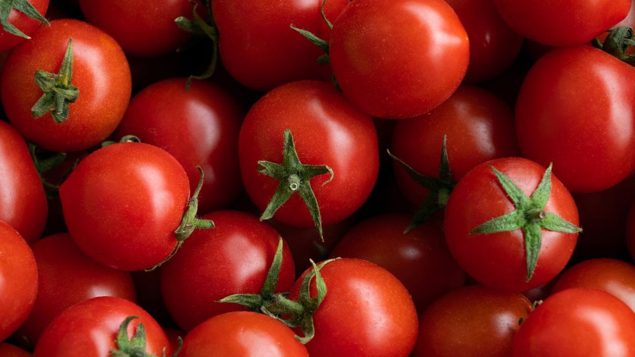 തക്കാളി: തക്കാളിയിൽ വൈറ്റമിൻ സി ധാരാളമായി അടങ്ങിയിട്ടുണ്ട്. കൂടാതെ ലൈക്കോപീൻ ഉൾപ്പെടെയുള്ള പ്രധാന കരോട്ടിനോയിഡുകളും ഇതിലുണ്ട്. സൂര്യപ്രകാശം കാരണം ചർമ്മത്തിനുണ്ടാകുന്ന പ്രശ്നങ്ങൾ പരിഹരിക്കാനും ചുളിവുകൾ വീഴുന്നത് തടയുകയും ഇവ സഹായിക്കുന്നു. ചീസ് അല്ലെങ്കിൽ ഒലിവ് ഓയിൽ പോലെയുള്ള ആരോഗ്യകരമായ കൊഴുപ്പുള്ള ഭക്ഷണങ്ങൾക്കൊപ്പം തക്കാളി കഴിക്കുന്നത് ശരീരത്തിലേക്ക് കൂടുതൽ പോഷകങ്ങൾ ആഗിരണം ചെയ്യാൻ സഹായിക്കും.