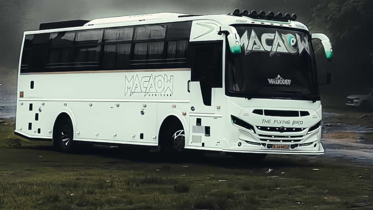 Tourist Bus :  വെള്ളയ്ക്ക് വിട, കളറാകാൻ ടൂറിസ്റ്റ് ബസ്സുകൾ... ആഘോഷം തുടങ്ങി വണ്ടിഭ്രാന്തന്മാർ