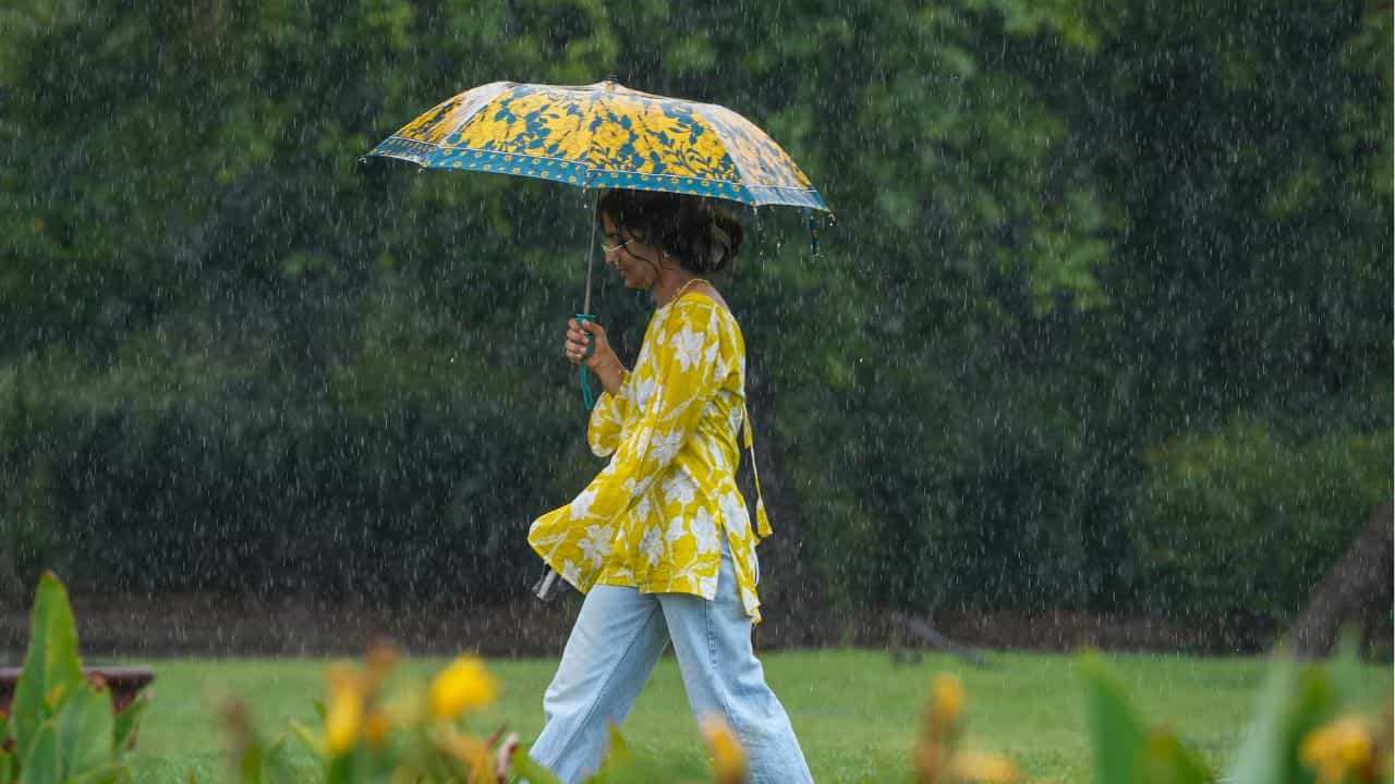 Kerala Weather Update: ഒറ്റപ്പെട്ട മഴ തുടരും, ചൂടും പിന്നാലെയുണ്ടേ... ഇന്നത്തെ കാലാവസ്ഥ Kerala Weather Update: ഒറ്റപ്പെട്ട മഴ തുടരും, ചൂടും പിന്നാലെയുണ്ടേ... ഇന്നത്തെ കാലാവസ്ഥ
