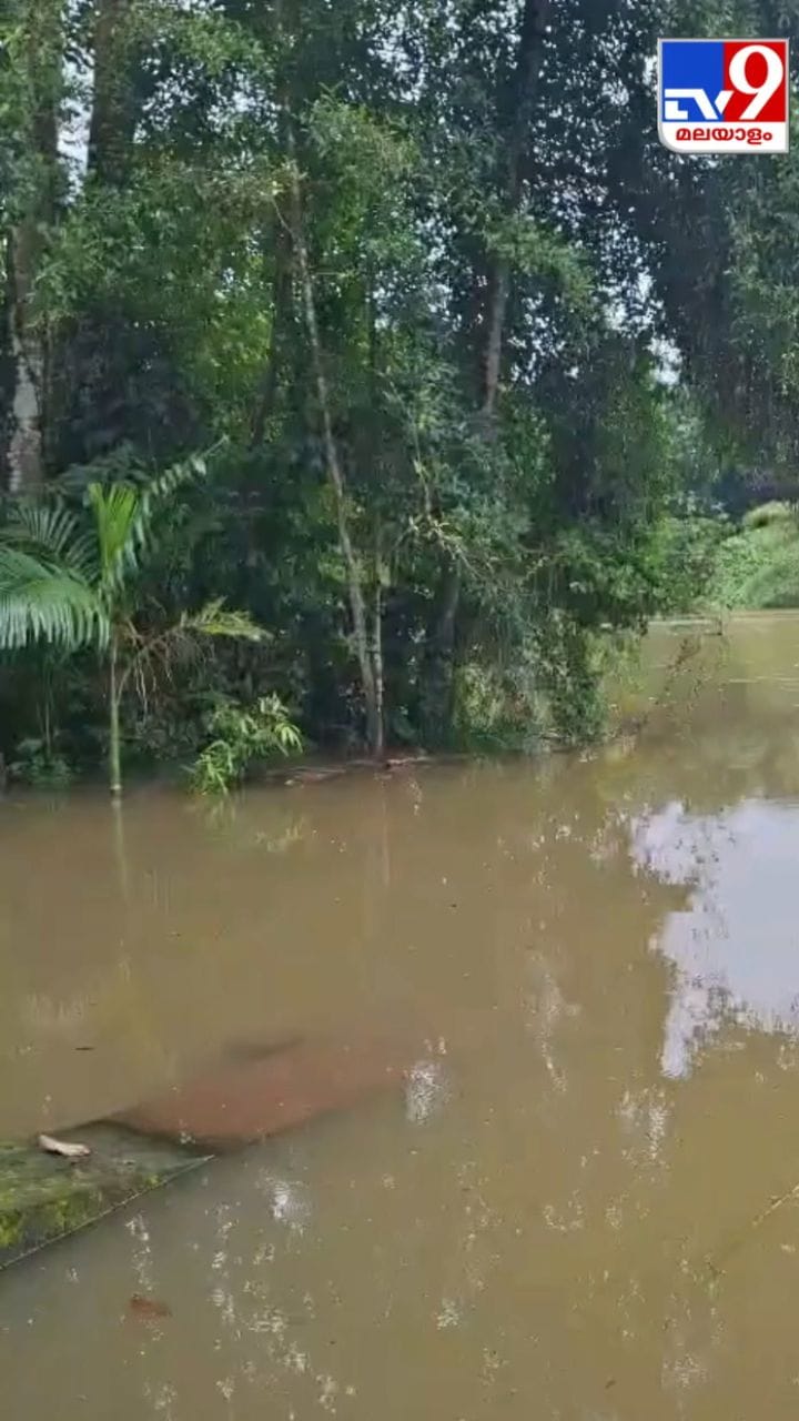 മാവേലിക്കരയിൽ അച്ചൻകോവിൽ ആറിൻ്റെ ഇന്നത്തെ ജലനിരപ്പ്