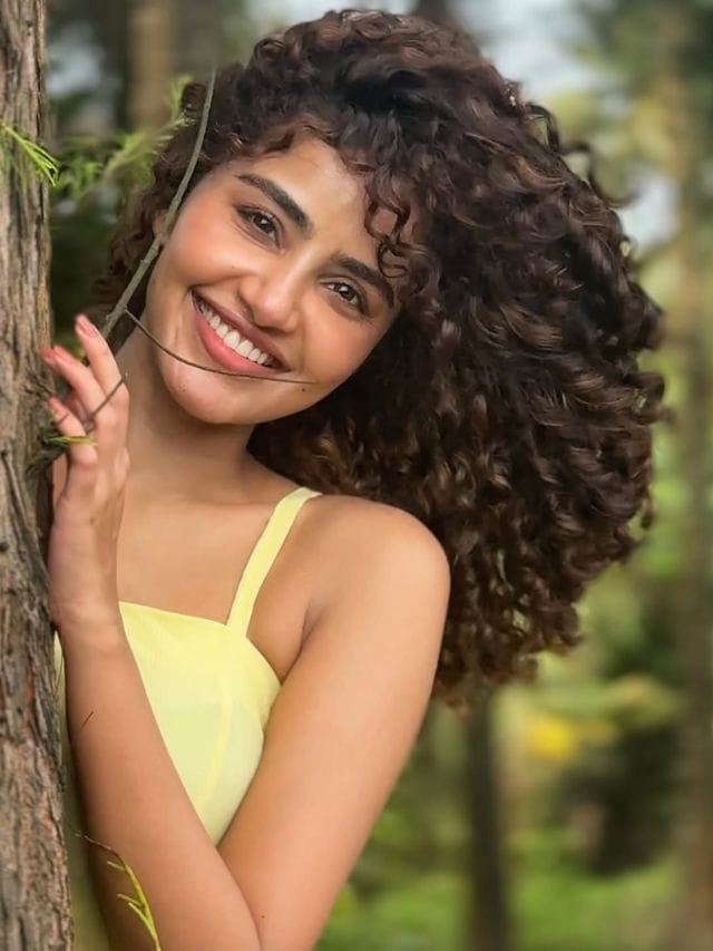 അനുപമ പരമേശ്വരന്റെ ആസ്തി എത്ര? ഒരു സിനിമയ്ക്ക് വാങ്ങുന്നത് ഇത്രയും