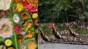 മഴ മാറി, വെള്ളകെട്ടും ഒഴിഞ്ഞു; ഇനി ആറന്മുള വള്ളസദ്യ കഴിക്കാൻ പോകാ...