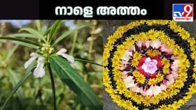 നാളെ അത്തം; പൊന്നോണത്തെ വരവേൽക്കാൻ ഒരുങ്ങി കേരളക്കര