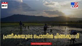 വറുതിയുടെ കർക്കടകം മാറി; സമൃദ്ധിയുടെ പൊന്നിൻ ചിങ്ങപ്പുലരി
