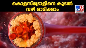3 രഹസ്യങ്ങൾ അറിഞ്ഞാൽ മതി! കൊളസ്ട്രോളിനെ കുടൽ വഴി ഓടിക്കാം