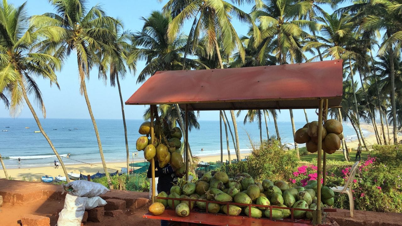 മലയാളികളുടെ വിഭവത്തിൽ തേങ്ങയില്ലാത്ത വിഭവങ്ങൾ വളരെ ചുരുക്കമായിരിക്കും. കറി ആയാലും തോരൻ ആയാലും പലഹാരങ്ങൾ ആയാലും തേങ്ങ എപ്പോഴും മുന്നിട്ടു നിൽക്കണം. എന്നാൽ പലർക്കും വലിയ കൊടുവാളുകൾ ഉപയോഗിച്ചും ചുറ്റിക ഉപയോഗിച്ചും ഒക്കെ തേങ്ങ പൊളിക്കാൻ പേടിയാണ്. അങ്ങനെയുള്ളവർക്ക് എളുപ്പത്തിൽ തേങ്ങ പൊട്ടിക്കാനുള്ള വഴികളാണ് ഇവിടെ പറയുന്നത്.(IMAGE CREDIT SOURCE: GETTY IMAGES)