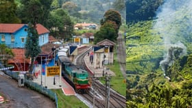 ഊട്ടിക്ക് പകരം കുനൂരിലേക്ക് പോകാം; വിസ്മയ കാഴ്ച്ചകൾ