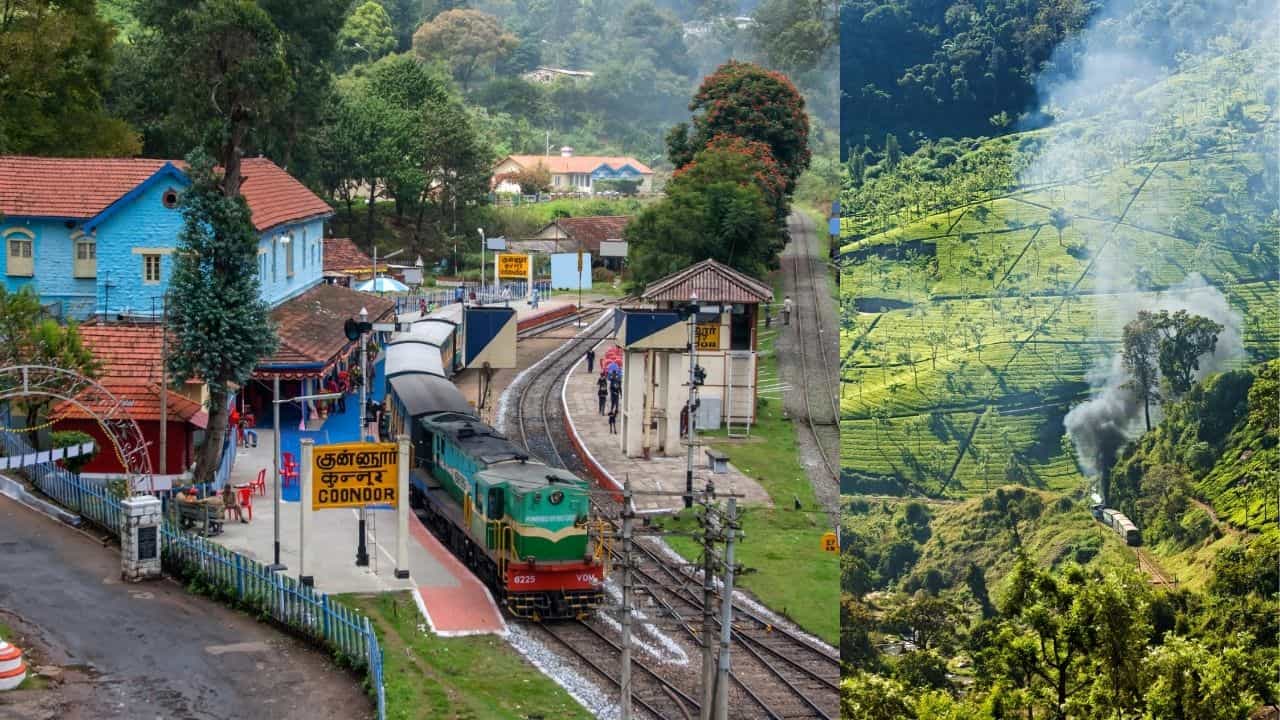 Coonoor Travel Guide: ഊട്ടിക്ക് പകരം കുനൂരിലേക്ക് പോകാം; കാത്തിരിക്കുന്നത് വിസ്മയ കാഴ്ച്ചകൾ Coonoor Travel Guide: ഊട്ടിക്ക് പകരം കുനൂരിലേക്ക് പോകാം; കാത്തിരിക്കുന്നത് വിസ്മയ കാഴ്ച്ചകൾ