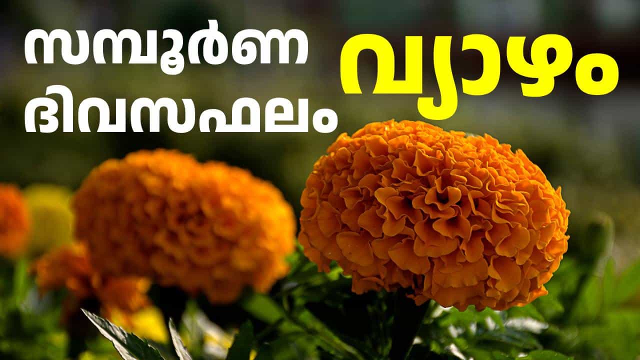 ഇന്നത്തെ നക്ഷത്രഫലം: ഇടവം രാശിക്കാർക്ക് വേദനാജനകമായ അനുഭവങ്ങൾ വന്നുചേരാൻ സാധ്യത | Daily Horoscope August 13 ഇന്നത്തെ നക്ഷത്രഫലം: ഇടവം രാശിക്കാർക്ക് വേദനാജനകമായ അനുഭവങ്ങൾ വന്നുചേരാൻ സാധ്യത | Daily Horoscope August 13