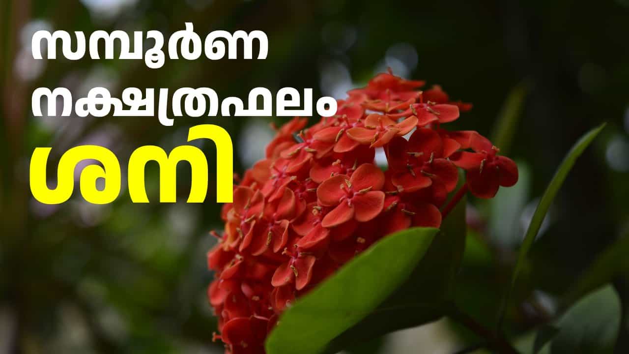 ഇന്നത്തെ നക്ഷത്രഫലം: ഈ നാളുകാർക്ക് ഇന്ന് കാര്യവിജയം, ഇഷ്ടഭക്ഷണസമൃദ്ധി, സൽക്കാരയോഗം | Daily Horoscope August 15 ഇന്നത്തെ നക്ഷത്രഫലം: ഈ നാളുകാർക്ക് ഇന്ന് കാര്യവിജയം, ഇഷ്ടഭക്ഷണസമൃദ്ധി, സൽക്കാരയോഗം | Daily Horoscope August 15