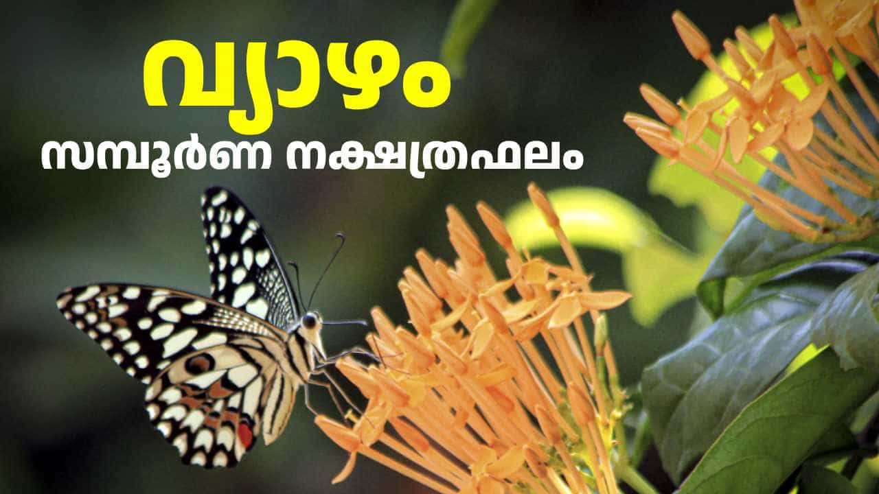 Horoscope Today: അവിട്ടം തവിട്ടിലും നേടും! ഇന്ന് വിജയങ്ങൾ തേടിയെത്തുന്ന നാളുകാർ | സമ്പൂർണ നക്ഷത്രഫലം Horoscope Today: അവിട്ടം തവിട്ടിലും നേടും! ഇന്ന് വിജയങ്ങൾ തേടിയെത്തുന്ന നാളുകാർ | സമ്പൂർണ നക്ഷത്രഫലം