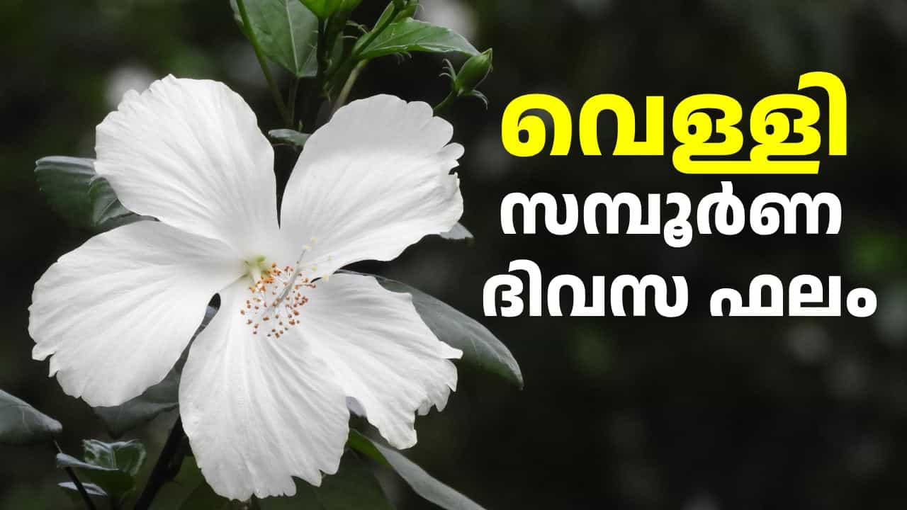Daily Horoscope august 7: ധനു രാശിക്കാർക്ക് ശത്രുക്ഷയം ഉണ്ടാകും; ഇന്നത്തെ സമ്പൂർണ നക്ഷത്ര ഫലം