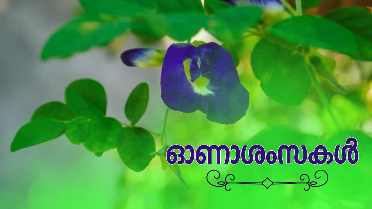 Onam 2026 Wishes: പ്രിയപ്പെട്ടവര്ക്ക് ഓണാശംസകള് കൈമാറാം; സ്നേഹം പരക്കെട്ട, സമൃദ്ധി നിറയട്ടെ Onam 2026 Wishes: പ്രിയപ്പെട്ടവര്ക്ക് ഓണാശംസകള് കൈമാറാം; സ്നേഹം പരക്കെട്ട, സമൃദ്ധി നിറയട്ടെ
