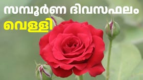 ഇന്നത്തെ നക്ഷത്രഫലം: വിവാഹ കാര്യങ്ങളിൽ തീരുമാനമുണ്ടാകാൻ സാധ്യത