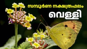 Horoscope Today: ചതയദിനത്തിലെ ഭാഗ്യ നക്ഷത്രക്കാർ!