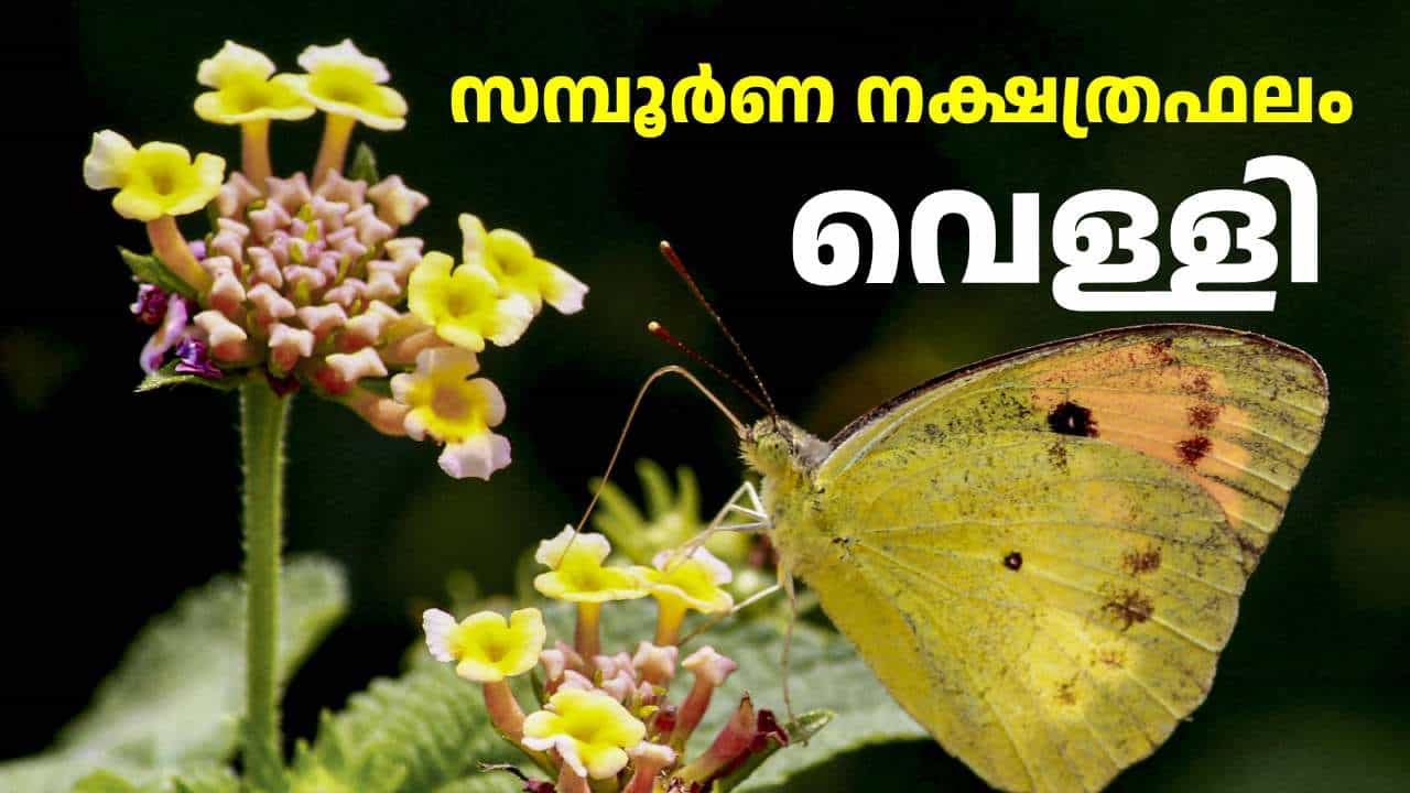 Horoscope Today: ചതയദിനത്തിലെ ഭാഗ്യ നക്ഷത്രക്കാർ! ഇന്നത്തെ സമ്പൂർണ നക്ഷത്ര ഫലം Horoscope Today: ചതയദിനത്തിലെ ഭാഗ്യ നക്ഷത്രക്കാർ! ഇന്നത്തെ സമ്പൂർണ നക്ഷത്ര ഫലം