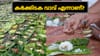 കർക്കിടക വാവ് എന്നാണ്? കൃത്യമായ തീയ്യതി ശുഭമുഹൂർത്തം എന്നിവ......
