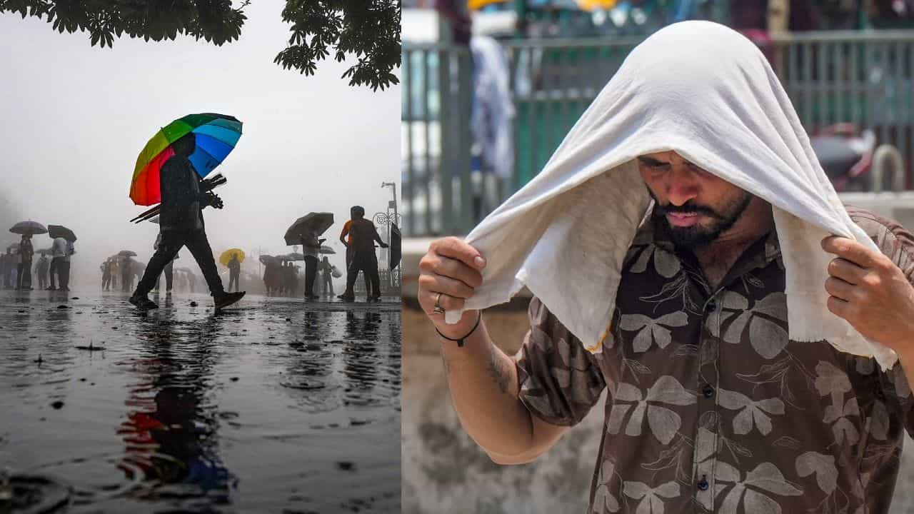 Kerala Weather Update: മഴ പോയി മാനം തെളിഞ്ഞു...കേരളത്തെ ചതിച്ച് പേമാരി; വീണ്ടും അതിശക്തമായ ചൂടോ? Kerala Weather Update: മഴ പോയി മാനം തെളിഞ്ഞു...കേരളത്തെ ചതിച്ച് പേമാരി; വീണ്ടും അതിശക്തമായ ചൂടോ?