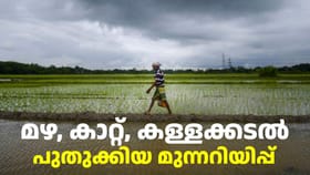 Kerala Weather: മഴ, കാറ്റ്, കള്ളക്കടൽ: പുതിയ IMD മുന്നറിയിപ്പ്