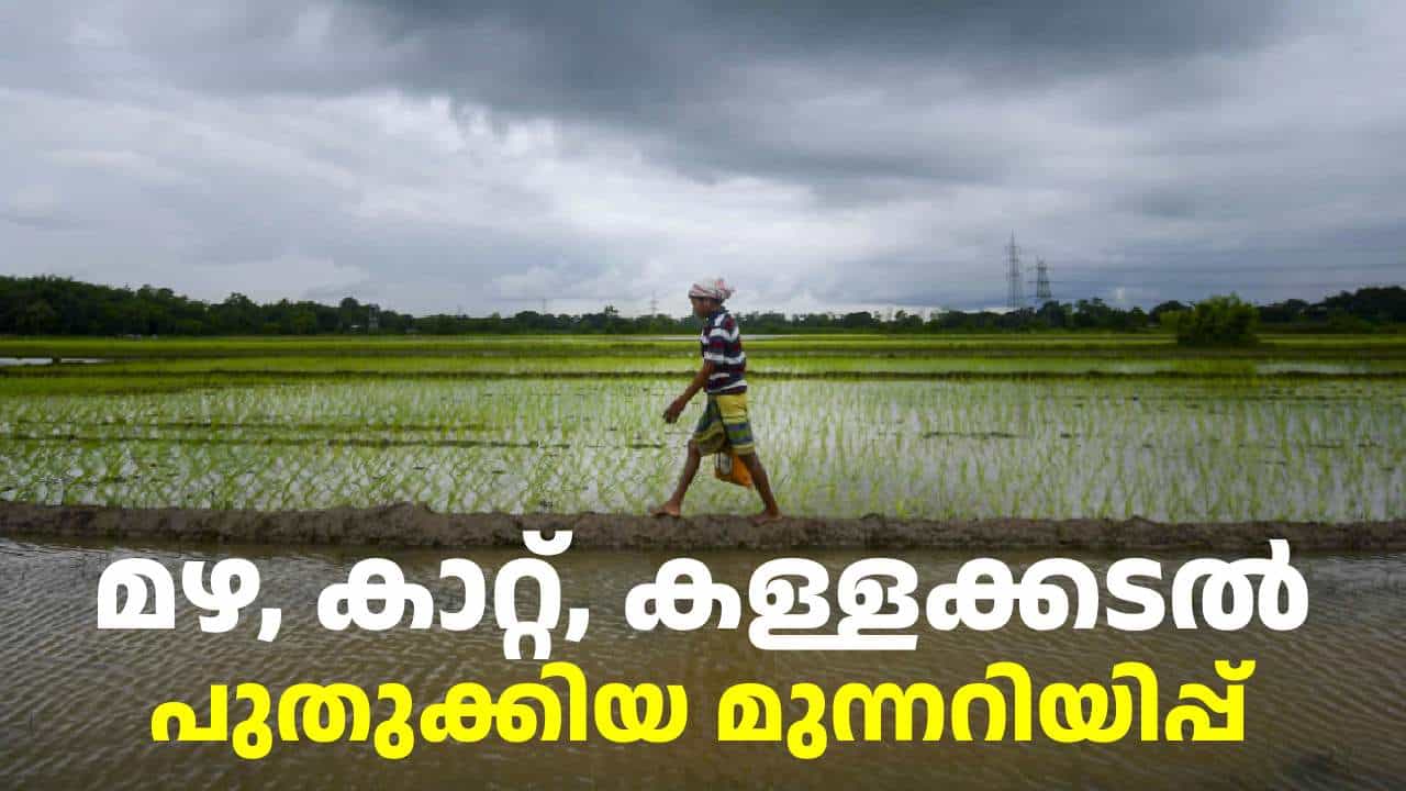 Kerala Weather: മഴ, കാറ്റ്, കള്ളക്കടൽ: ഓഗസ്റ്റ് 31ന് മുതൽ സെപ്റ്റംബർ 4 വരെയുള്ള പുതുക്കിയ IMD മുന്നറിയിപ്പ് Kerala Weather: മഴ, കാറ്റ്, കള്ളക്കടൽ: ഓഗസ്റ്റ് 31ന് മുതൽ സെപ്റ്റംബർ 4 വരെയുള്ള പുതുക്കിയ IMD മുന്നറിയിപ്പ്