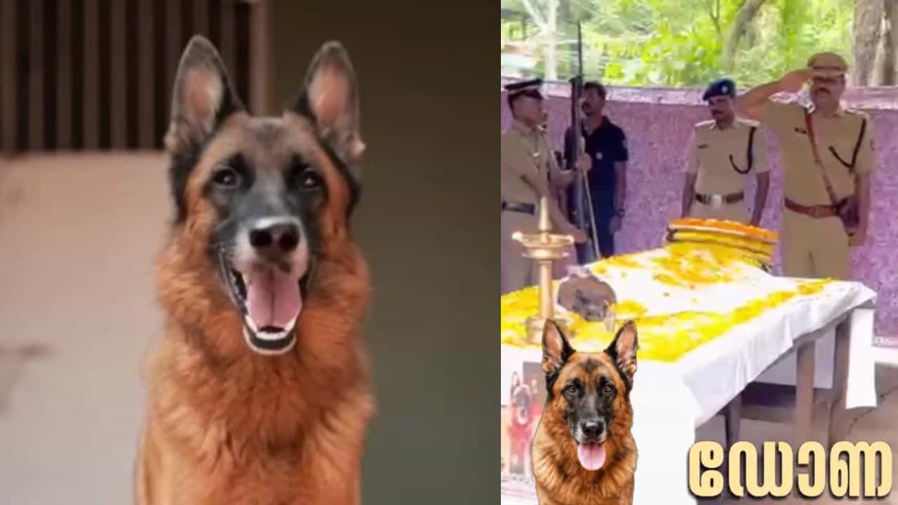 3 മാസം പ്രായമുള്ളപ്പോൾ പോലീസിൽ, തെളിയിച്ചത് 18 കേസുകൾ; പുലിക്കുട്ടി ഡോണയ്ക്ക് വിട പറഞ്ഞ് കേരള പോലീസ്