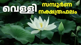 നക്ഷത്രഫലം: ശത്രുശല്യം നേരിടും, മീനം, മേടം രാശിക്കാർ ശ്രദ്ധിക്കുക