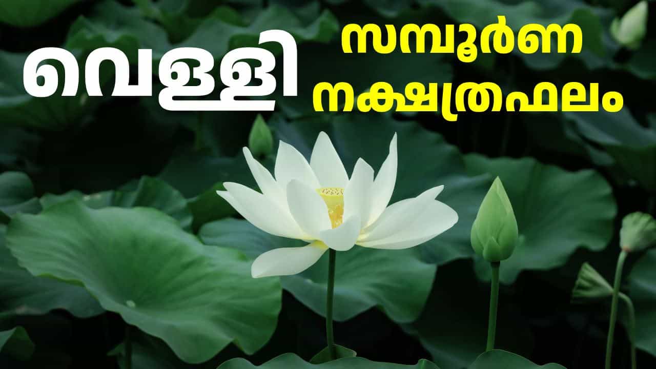 നക്ഷത്രഫലം: ശത്രുശല്യം നേരിടും, മീനം, മേടം രാശിക്കാർ ഇന്ന് പ്രത്യേകം ശ്രദ്ധിക്കുക | Horoscope Today August 21