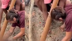 മുടിയിൽ പിടിച്ചുവലിച്ച് മൃതദേഹത്തിൽ നിന്ന് ക്രൂരമായ മോഷണം