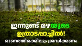 Kerala Weather Update: 11 ജില്ലകളിൽ ഇന്ന് യെല്ലോ അ‌ലർട്ട്