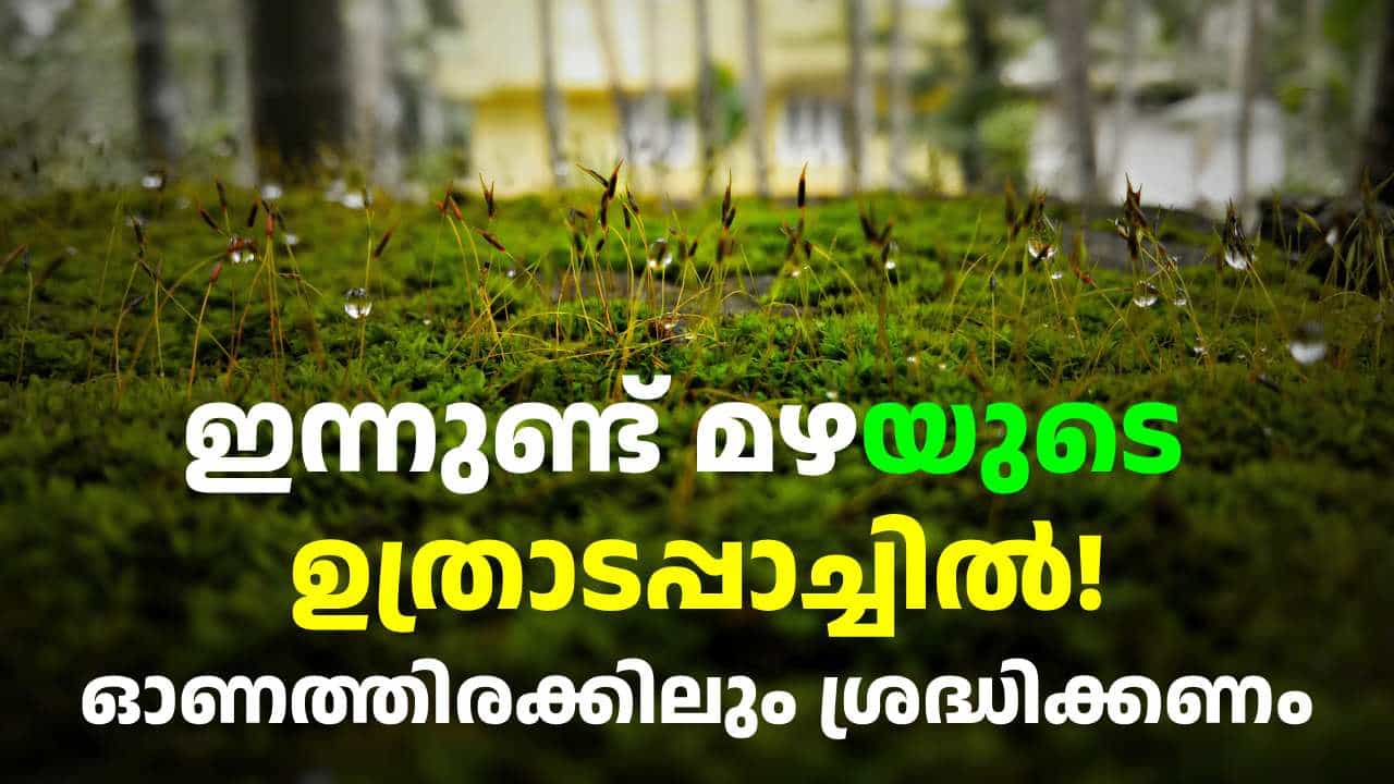 Kerala Weather Update: കൂടുതൽ ഇടങ്ങളിൽ യെല്ലോ അലർട്ട്; 11 ജില്ലകളിൽ ഇന്ന് ശക്തമായ മഴ Kerala Weather Update: കൂടുതൽ ഇടങ്ങളിൽ യെല്ലോ അലർട്ട്; 11 ജില്ലകളിൽ ഇന്ന് ശക്തമായ മഴ